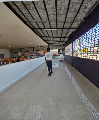 Termite treatment process