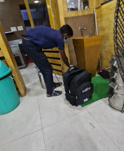 Pest control service in action