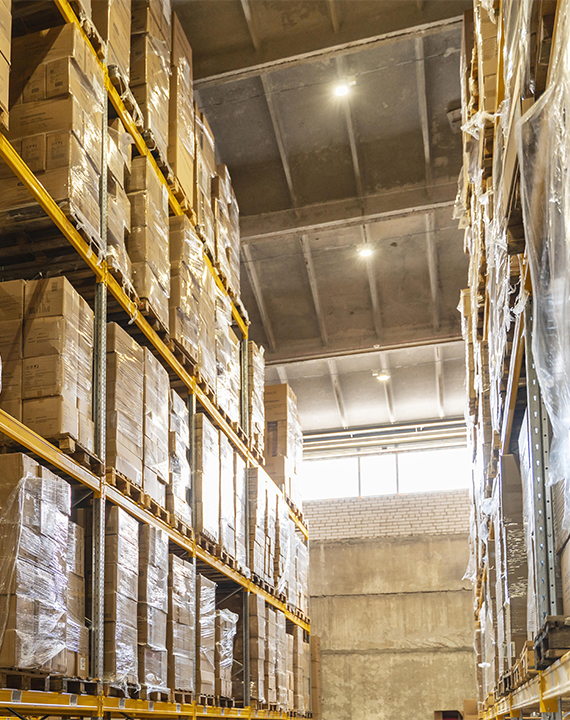 Food storage area after treatment