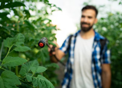 Best Pest control service providers in mayiladuthurai