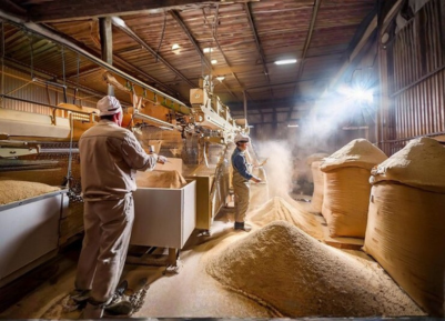 Best Termite control services mayiladuthurai